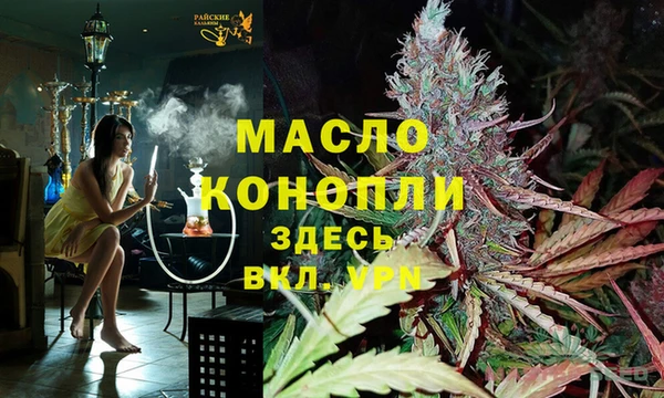 молекула духа Зеленодольск