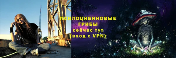 молекула духа Зеленодольск