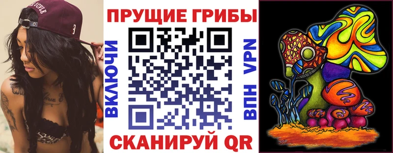 Галлюциногенные грибы GOLDEN TEACHER  Купить закладки  Волгодонск 